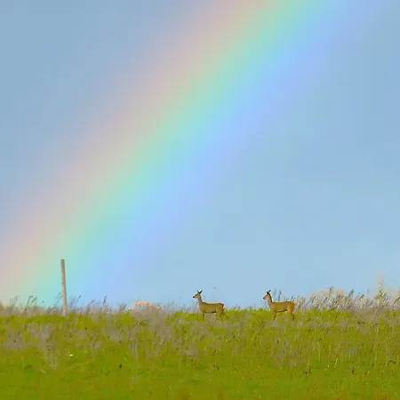 Tatil Evi En Gelion *