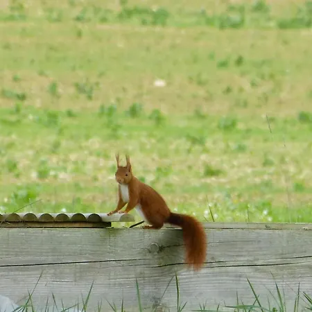 En Gelion Tatil Evi Sarrant