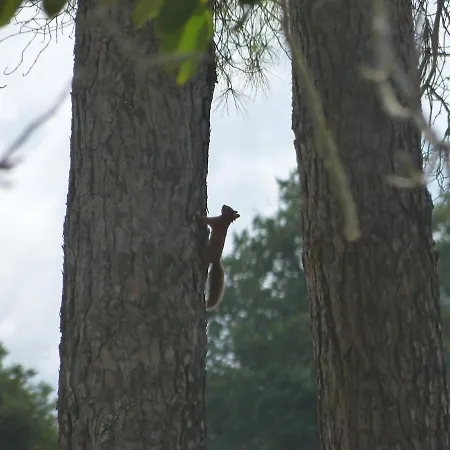 Tatil Evi En Gelion *