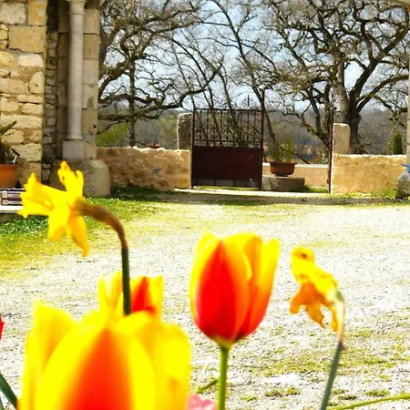 Tatil Evi En Gelion Sarrant